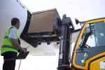 Tarima de Plastico para Exportación EXP1010 - Imagen 6